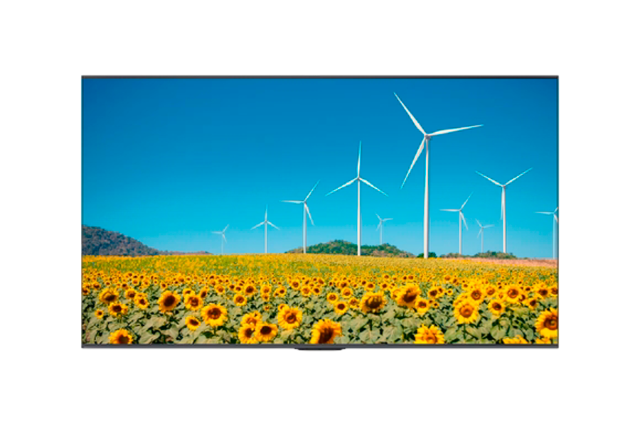 Информационный дисплей Hisense 75" 75DP30FE